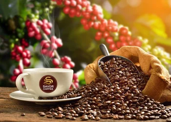 From Bean Hopper to Cup: How Automatic Coffee Machines Keep Service Consistent