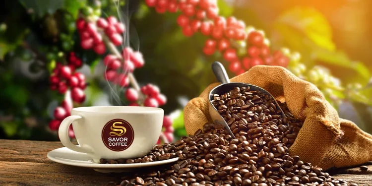 From Bean Hopper to Cup: How Automatic Coffee Machines Keep Service Consistent
